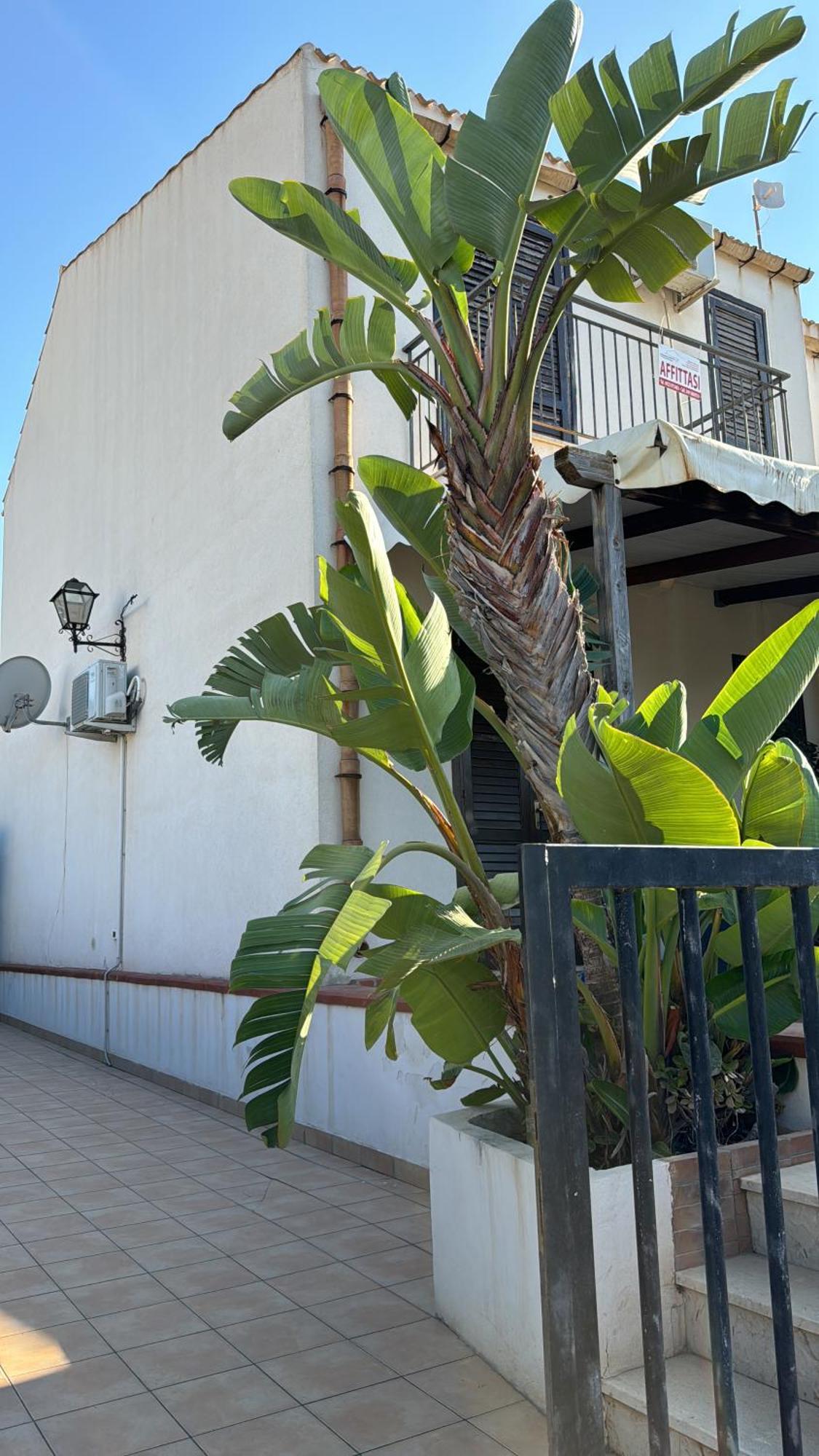 Villa A San Vito Lo Capo Minaudo ภายนอก รูปภาพ
