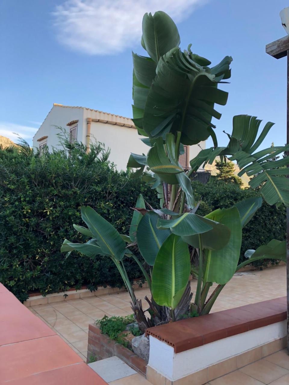 Villa A San Vito Lo Capo Minaudo ภายนอก รูปภาพ